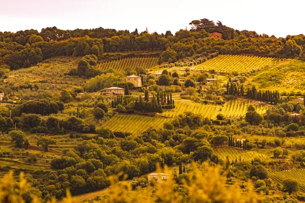 Πανοραμική θέα στο Val d'Orcia — Φωτογραφία Αρχείου