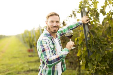 Genç winemaker bağ