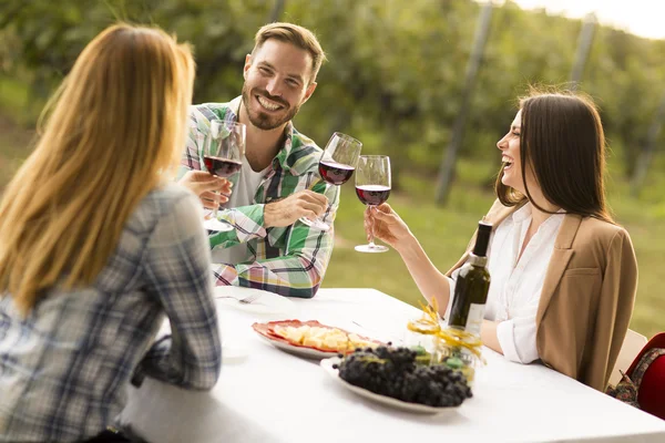 La gente disfruta de la cena en el viñedo — Foto de Stock