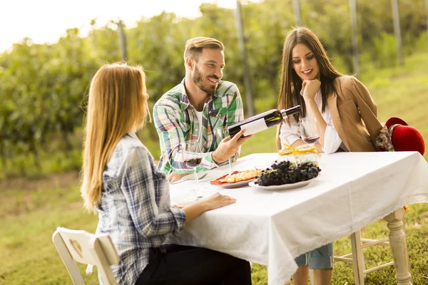 Mensen genieten van diner in de wijngaard — Stockfoto
