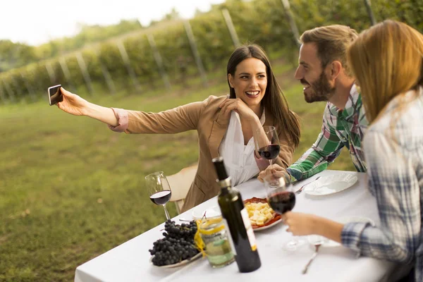 La gente disfruta de la cena en el viñedo —  Fotos de Stock