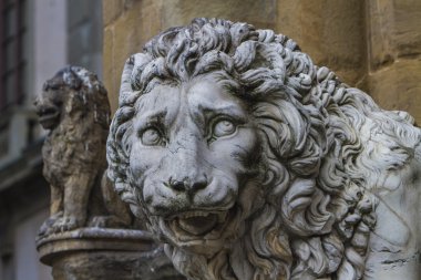 Medici Floransa gelen aslan
