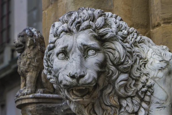 Medici lions från Florens — Stockfoto