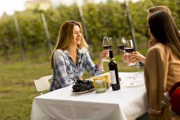 As pessoas gostam de jantar na vinha — Fotografia de Stock