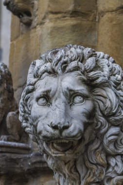Medici Floransa gelen aslan
