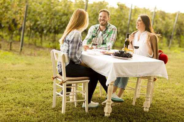 Mensen genieten van diner in de wijngaard — Stockfoto