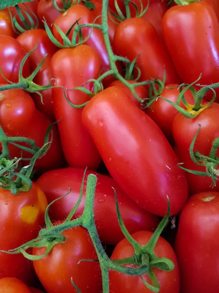 Färska grönsaker på marknaden — Stockfoto