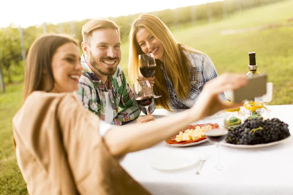 La gente disfruta de la cena en el viñedo — Foto de Stock