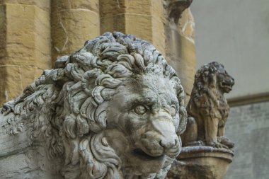 Medici Floransa gelen aslan