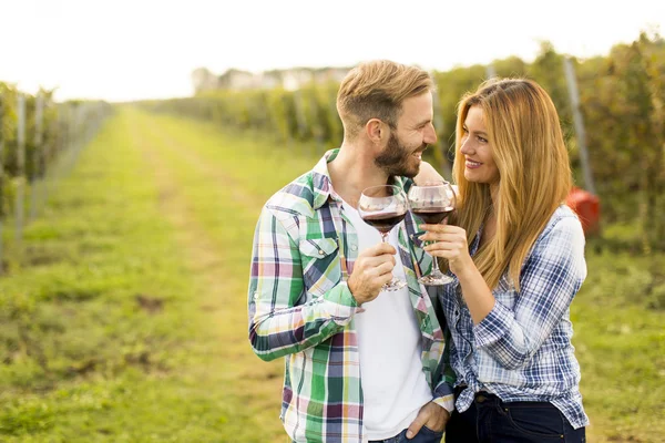 Дегустация вин в винограднике — стоковое фото