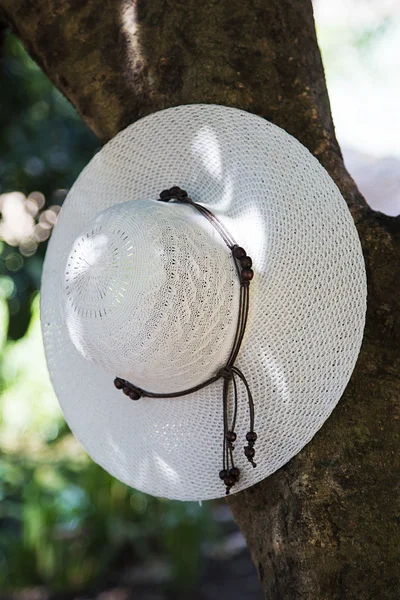 White ladies' hat — Stock Photo, Image