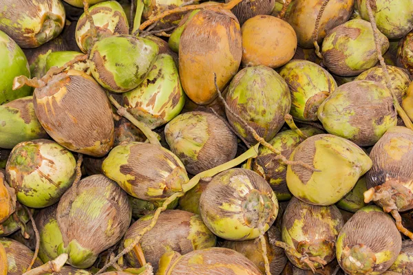 Спелые свежие кокосы — стоковое фото