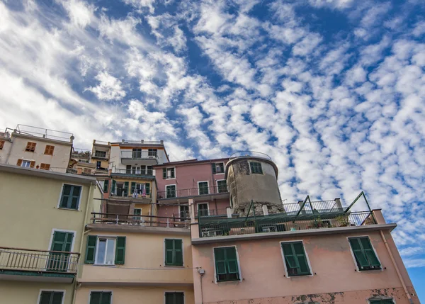 Manarola colorful houses — Stock Photo, Image