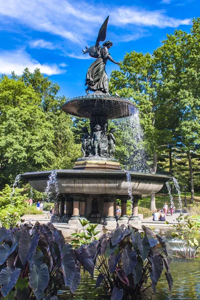 毕士大喷泉在纽约 — 图库照片