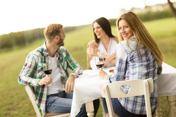 Mensen genieten van diner in de wijngaard — Stockfoto