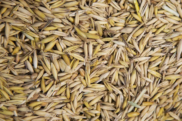 Tahıl tahıllar doku