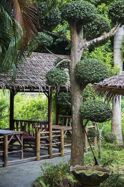 Ko Pha Ngan in Thailand — Stock Photo, Image