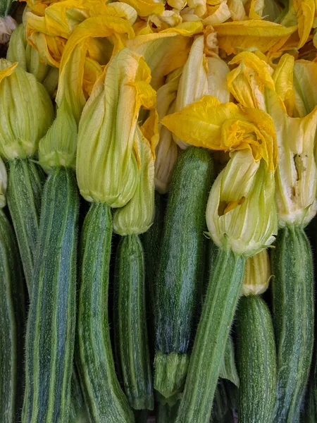 Zucchine fresche con fiori — Foto Stock