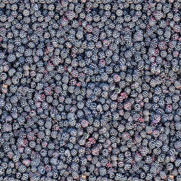 Seamless pattern of blackberries — Stock Photo, Image