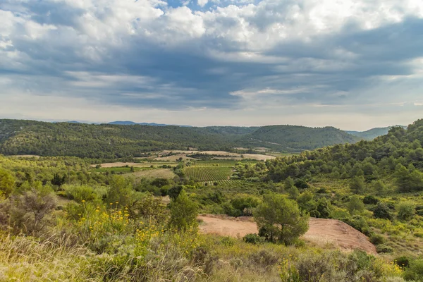 Montouliers etrafında peyzaj — Stok fotoğraf