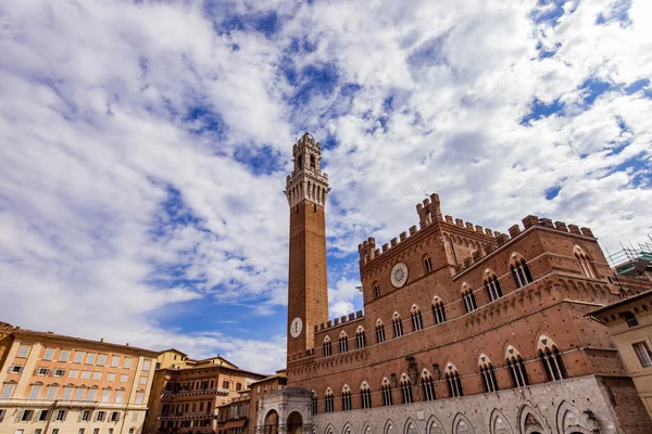 Detail der Piazza del Campo — Stockfoto