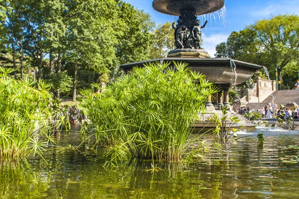 Fontana di Bethesda a Central Park a New York — Foto Stock
