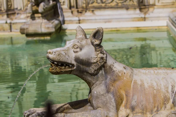 Fonte Gaia at Piazza del Campo in Siena — 图库照片