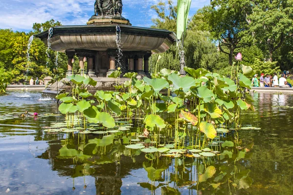 Bethesda Fountain i New York — Stockfoto