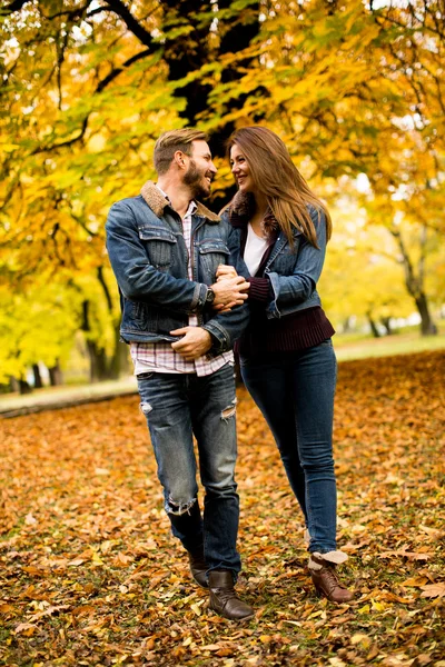 Casal amoroso no parque de outono — Fotografia de Stock