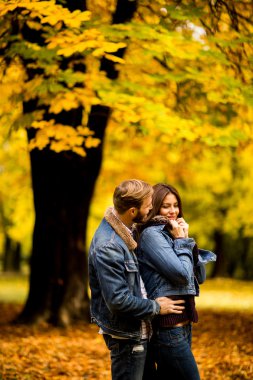 Sonbahar parkında sevgili bir çift