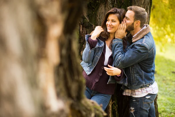 Paar im Herbstpark — Stockfoto