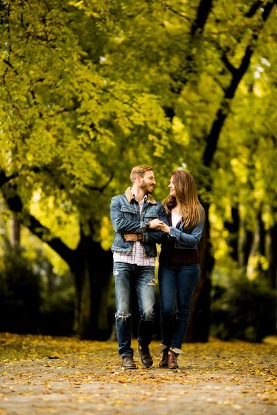 Casal amoroso no parque de outono — Fotografia de Stock