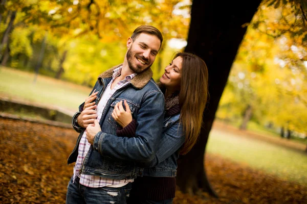 Miłości para w parku jesień — Zdjęcie stockowe