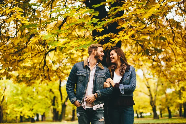 Coppia amorevole nel parco autunnale — Foto Stock