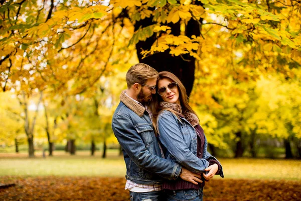 Casal amoroso no parque de outono — Fotografia de Stock