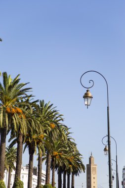 Rabat şehir sokak