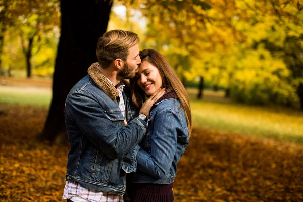 Casal amoroso no parque de outono — Fotografia de Stock