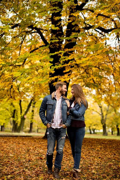Szerető pár, az őszi parkban — Stock Fotó