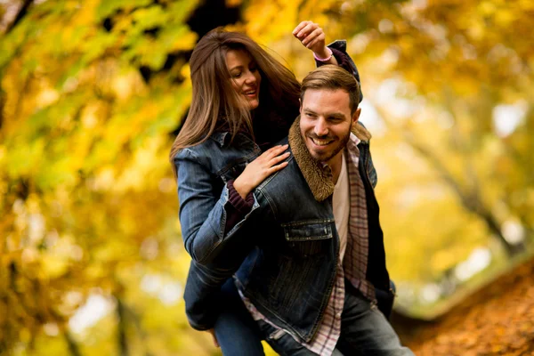 Paar in de herfst park — Stockfoto