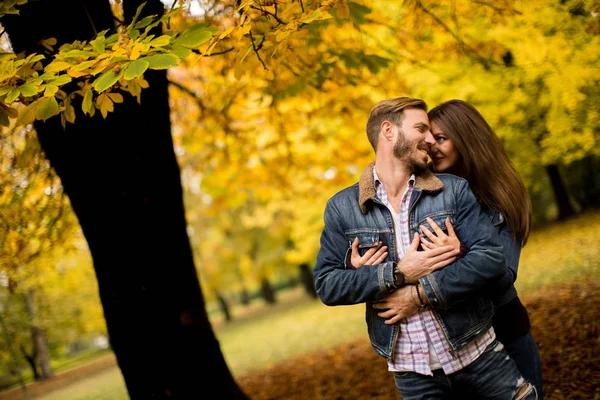 가을 공원에 사는 부부 — 스톡 사진