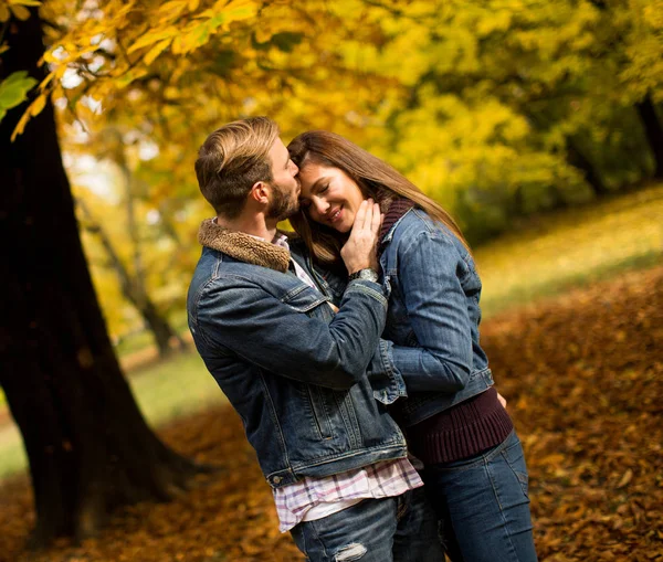 Αγαπημένο ζευγάρι στο πάρκο φθινόπωρο — Φωτογραφία Αρχείου