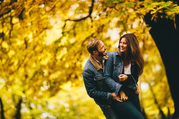 Coppia giovane nel parco autunnale — Foto Stock