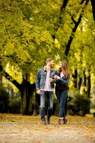 秋の公園で若いカップル — ストック写真