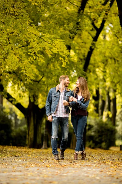 Jovem casal no parque de outono — Fotografia de Stock