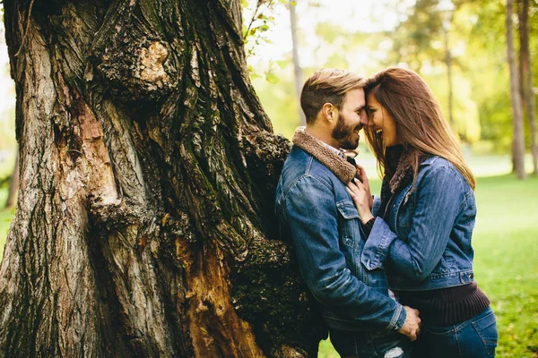 Jovem casal no parque de outono — Fotografia de Stock