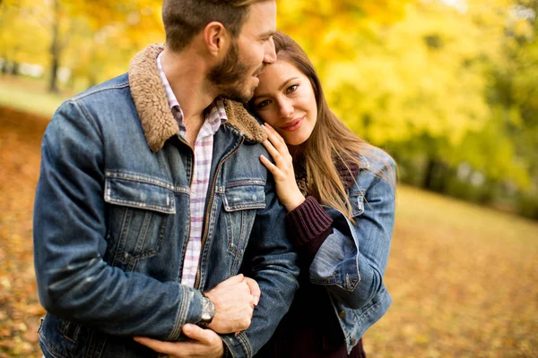 Jovem casal no parque de outono — Fotografia de Stock