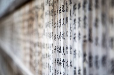 Japon kod görüntüle