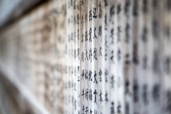 Japanese script view