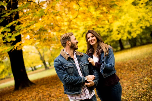 Молода пара в осінньому парку — стокове фото