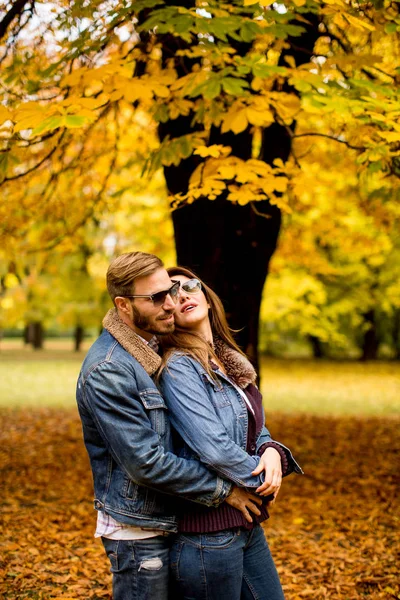 Jovem casal no parque de outono — Fotografia de Stock